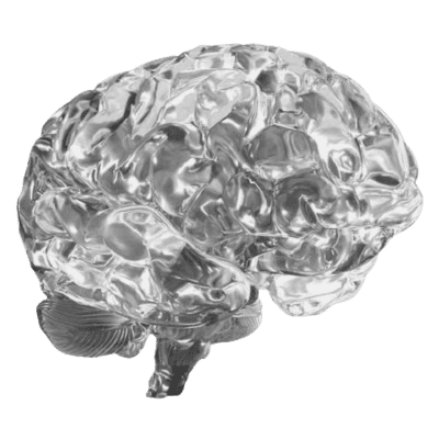 Silver brain